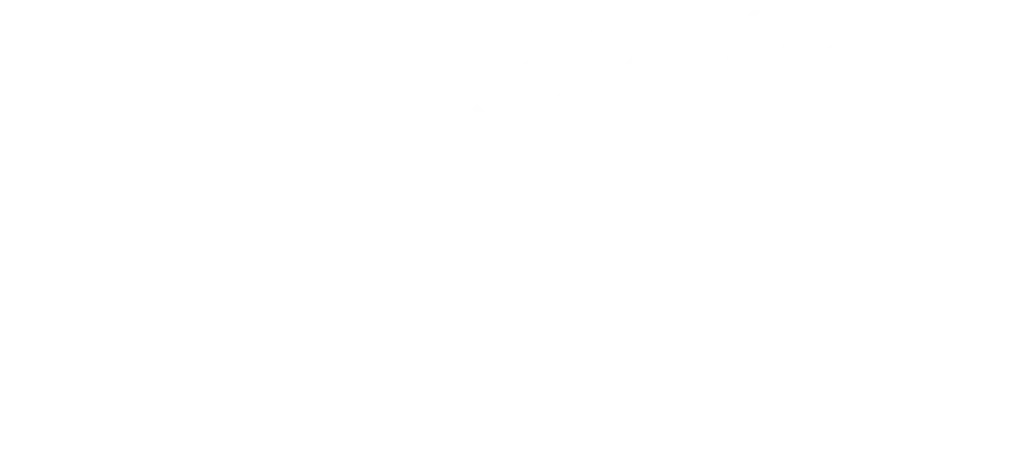 Logo vert principal du site internet de Lola Marié - Sojourn studio - graphiste, freelance, digital nomad, communication, identité de marque